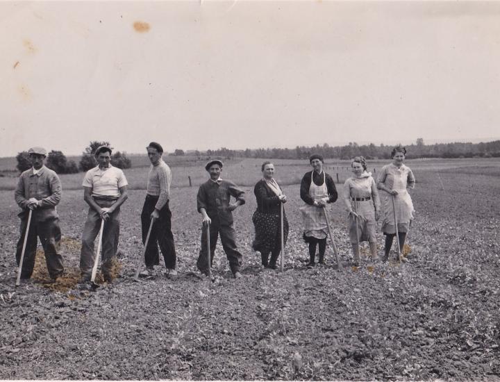 © Maxime Baschirotto