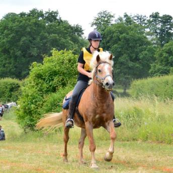Centre équestre de Biencourt