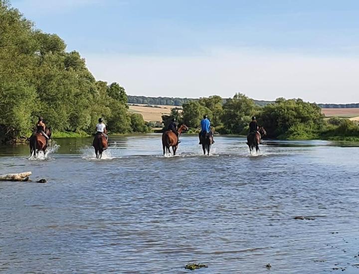 Centre équestre militaire