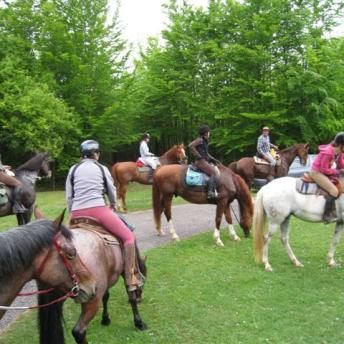 Ferme du Vallon