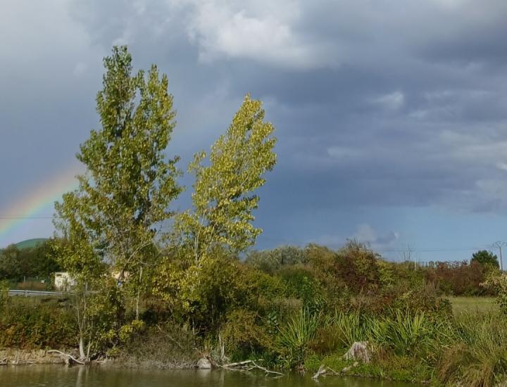 Etang de la Libellule