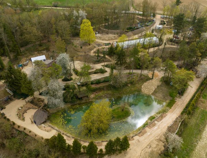 Jardin des grimpantes