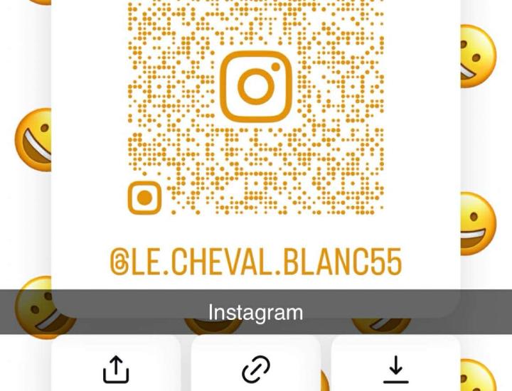Le Cheval Blanc