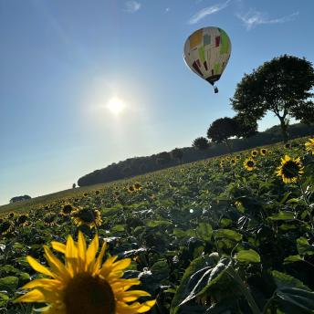 Fly Montgolfière