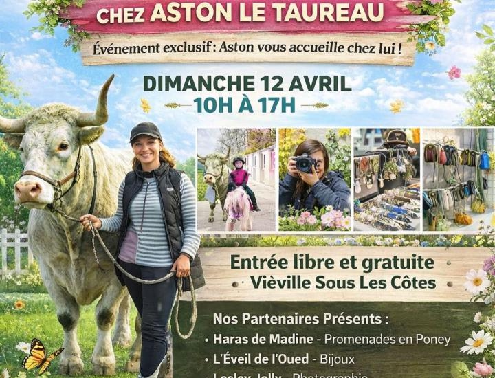 Aston, le taureau