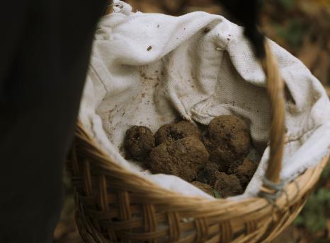 BOBINE - Justine Hern