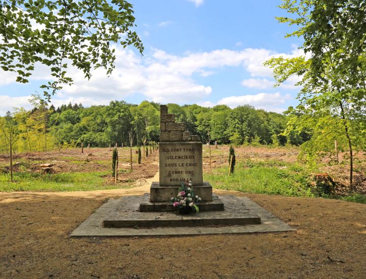 © Tourisme Grand Verdun / Marie JACQUINET