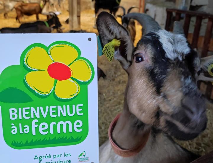 Chèvrerie du Moulin