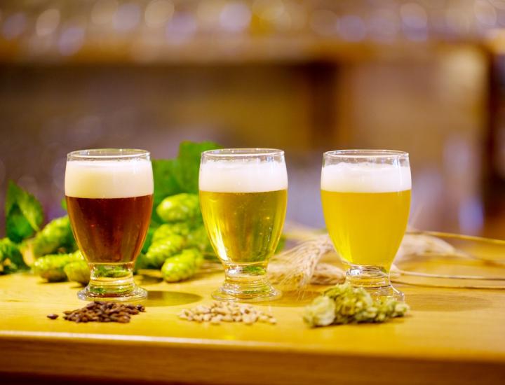 Musée de la Bière - Guillaume Ramon