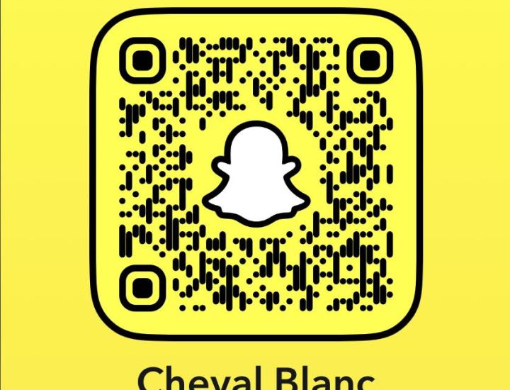 Le Cheval Blanc